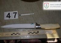 Életfogytig tartó fegyházbüntetés kiszabását indítványozza az ügyészség a két embert brutálisan meggyilkoló férfival szemben