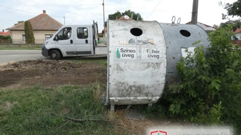 Öt kutyakölyköt dobott a szemétgyűjtőbe a tiszaföldvári nő