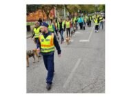 Sétával az állatokkal az állatokért Szolnokon