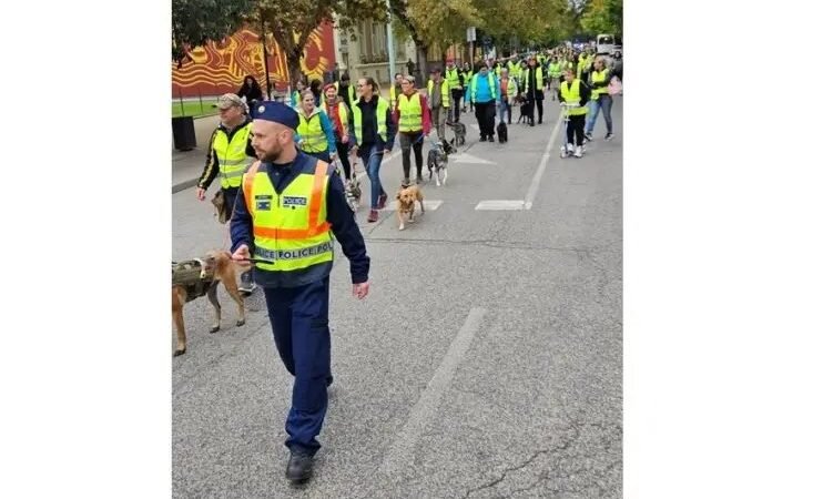 Sétával az állatokkal az állatokért Szolnokon