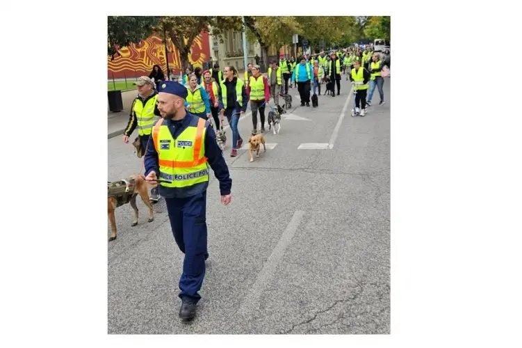 Sétával az állatokkal az állatokért Szolnokon