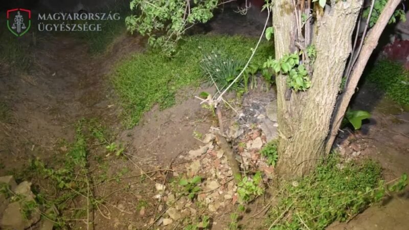 Nem csak a hangját emelte fel pár szem eper miatt