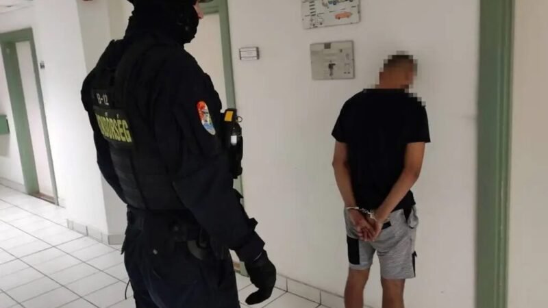 Vasúti kocsik fosztogatói rendőrkézen