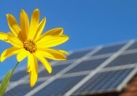 6000 megawatt felett termeltek a hazai naperőművek