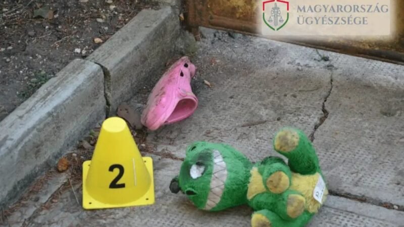 Különös kegyetlenséggel verte meg élettársát