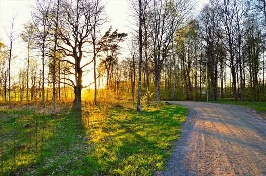 A hétvégén is enyhe, tavaszias idő várható