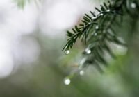 Hétvégére elvonulnak az esőfelhők