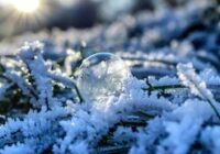 Meteorológia: a jövő hét elején hideg éjszakák jönnek