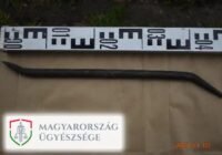 Megelégelte, hogy nem tud felmondani italozó albérlőjének