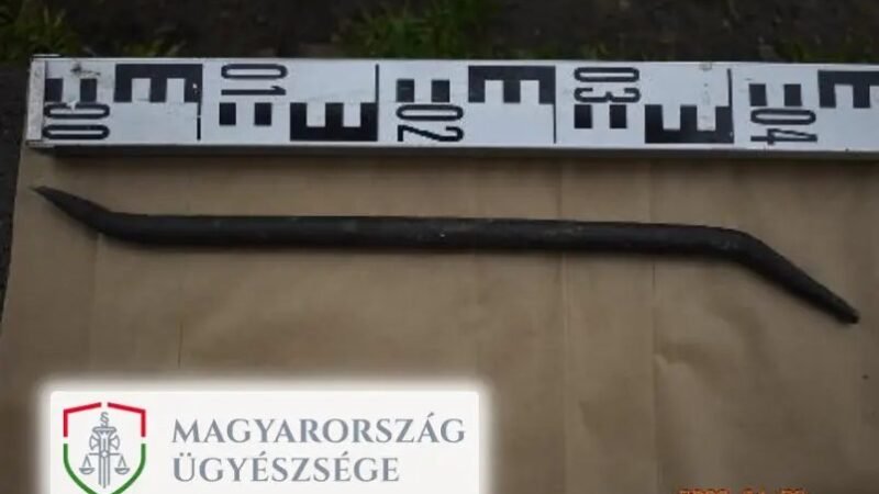 Megelégelte, hogy nem tud felmondani italozó albérlőjének