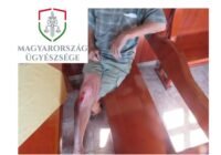 Kórház Pszichiátriai Osztályán tartóztatta le a bíróság a rablót