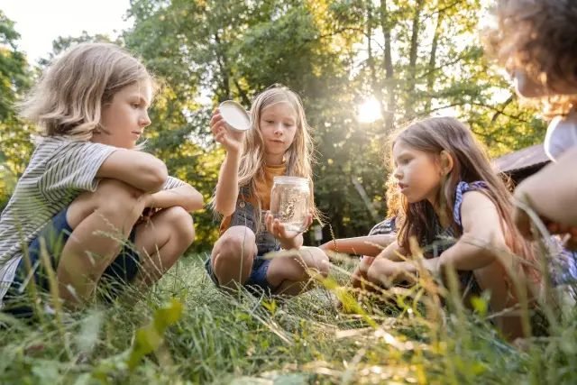 Új program indul az általános iskolások környezeti ismereteinek bővítésére