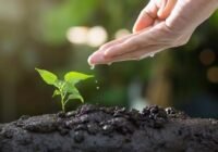 Egyre több fiatal választja az agrárszakmát, és ez a vidéknek is nagy erő