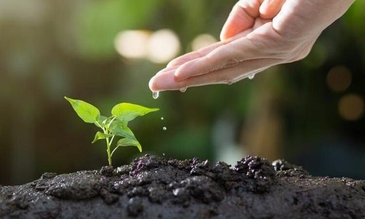 Egyre több fiatal választja az agrárszakmát, és ez a vidéknek is nagy erő