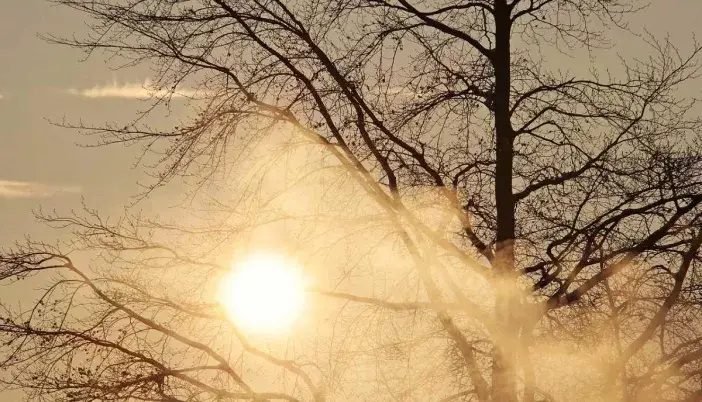 Meteorológia: nyolc nap alatt 14 melegrekord dőlt meg