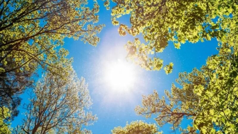 Meteorológia: február második felében is melegebb van, mint a megszokott