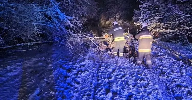 Elsősorban kidőlt fák miatt már mintegy 300 káresethez riasztották a tűzoltókat országszerte