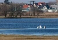 AM: magas belbvízborítottságot mértek Jász-Nagykun-Szolnok megyében is