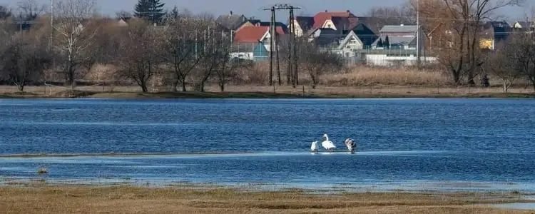 AM: magas belbvízborítottságot mértek Jász-Nagykun-Szolnok megyében is
