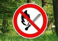 Tűzgyújtási tilalmat rendeltek a szárazság miatt